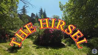 THE HIRSEL