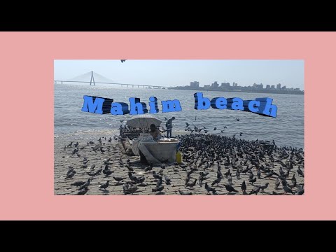 Mahim Garden | Mahim Beach |Hinduja Hospital |Anand Sapkal 2 nd  vlog