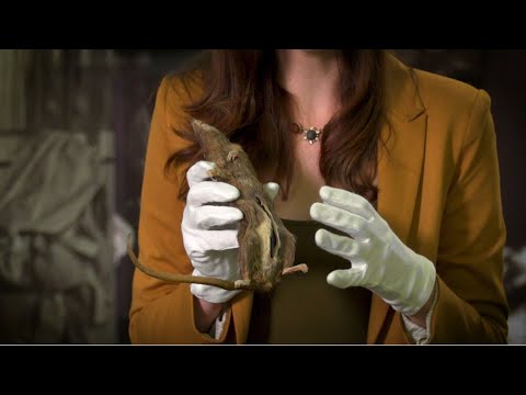 The Debrief: Behind the Artifact – Dead Drop Rat