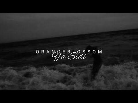 orange blossom // ya sidi [türkçe çeviri]
