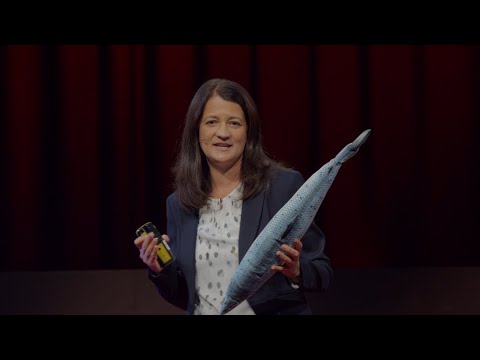 Feeding 10 Billion, with Fish, Robots and Data | Catarina Martins | TEDxØygarden