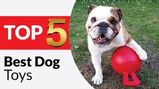 Top 5 Best Dog Toys Review of 2026 [Tested & Reviewed]