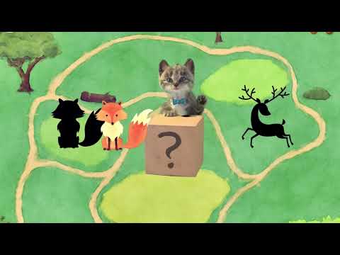 Cute Kitten Little Cat Adventure - Play Fun Pet Care - Preschool Educational Games #678