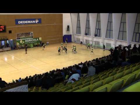 Stiinta MD Bacau - Potaissa Turda 26-23 (finalul jocului)