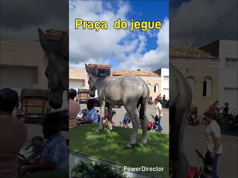 Praça do jegue, Itabi/Se