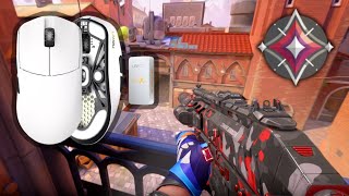 Valorant But It's Lamzu Maya X : Is It Good For FPS Gaming?