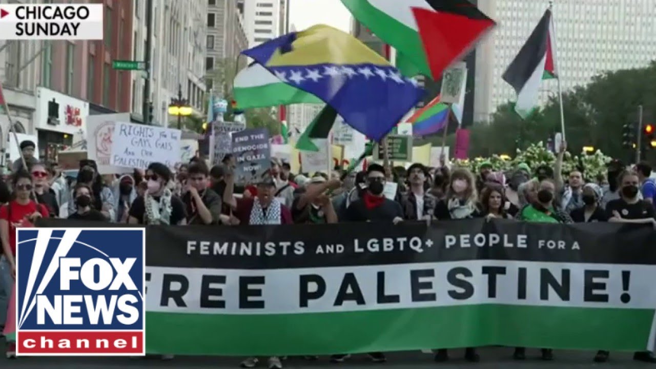 Bombshell report reveals shocking information about anti-Israel protesters at DNC