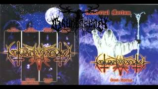 Drunemeton - Veles Scrolls (Nokturnal Mortum cover)