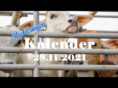 Der Mitsing-Kalender am 28.11.2021  - Tag 332