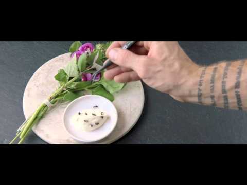 Noma-My Perfect Storm