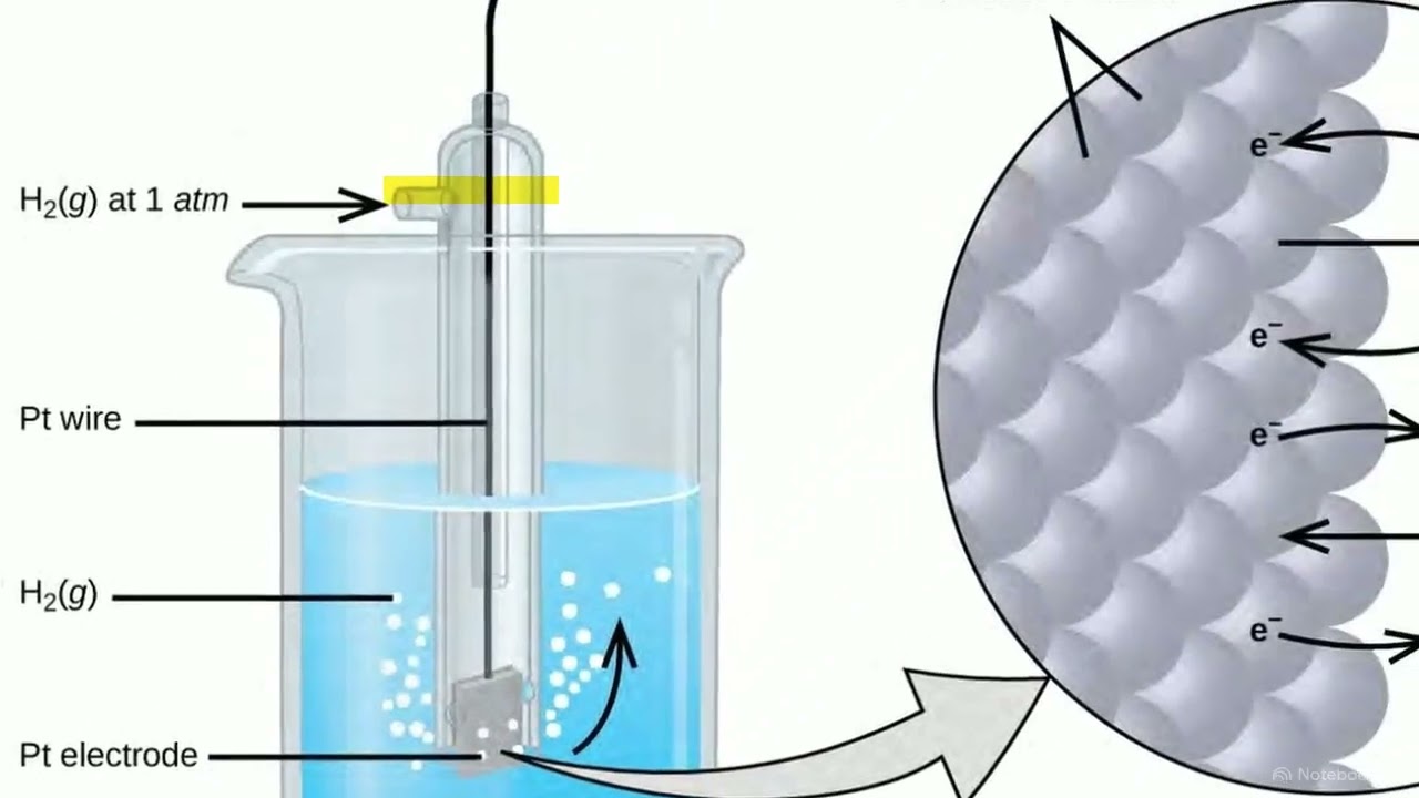Electrode and Cell Potentials