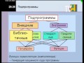 Информатика 10-11 класс. Подпрограммы 