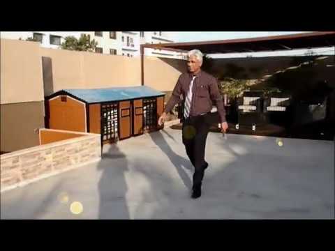 Alphabets & Numbers Training