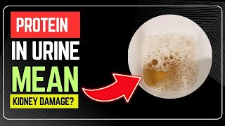 Does Protein in Urine Mean Kidney Damage? Bubbles in Urine Means
