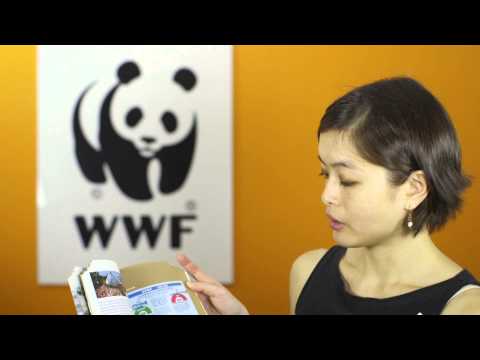 download lagu mp3 mp4 Hong Kong Food Safety Regulations, download lagu Hong Kong Food Safety Regulations gratis, unduh video klip Hong Kong Food Safety Regulations