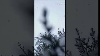 🔮❄️☃️ #beautifulnature #kashmir #shorts #snowfall #winter #snowman #naturephotography