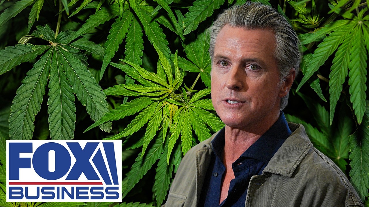 California's WEEDING OUT illegal marijuana — China is a leading suspect