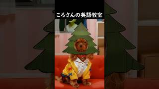 実写版戌神ころね その三 #戌神ころね #inugamikorone #aianimation