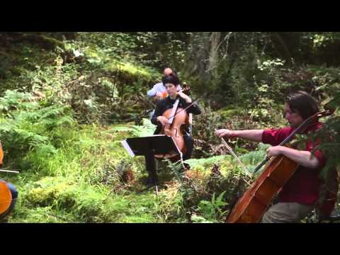 Portland Cello Project - The Doe Bay Sessions (2012)