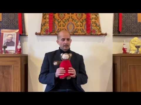 Dear Buddha Bear: Why Don't Buddhas Disable All the Weapons in the World?