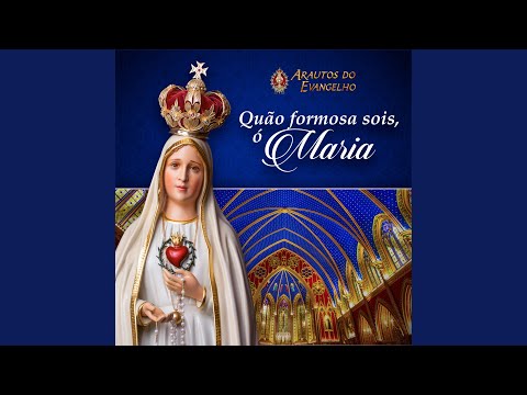 Viva A Mãe De Deus E Nossa - Misc Praise Songs