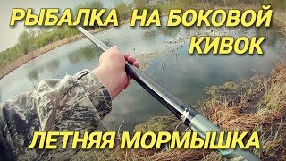 Летняя ловля карпа на боковой кивок