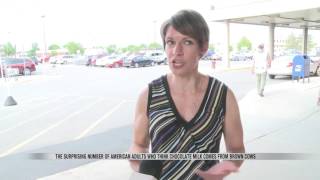 News Some Americans Think Chocolate Milk Comes from Brown Cows