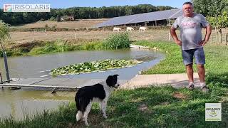 Journées Portes Ouvertes génétique SICAREV/IRISOLARIS 4-5.09.2020 - Genetics Open Days SICAREV/IRISO