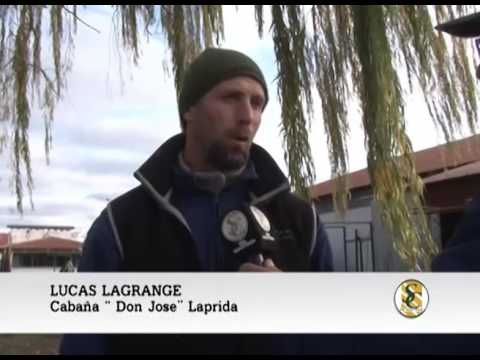 17-05-16 NOTA LUCAS LAGRANGE - CABAÑA DON JOSE - EXPO BOLIVAR - BOLIVAR
