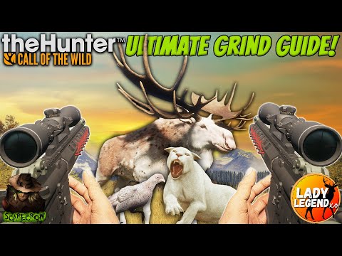 The Ultimate Tips & Tricks Guide For Starting ANY GRIND In Call of the wild
