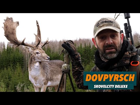 Smygjakt på Dovhjort - Skovlar överallt!