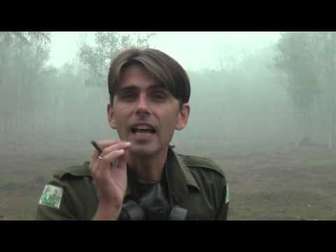 Pesan Chanee Kalaweit untuk Jokowi: Saya Marah