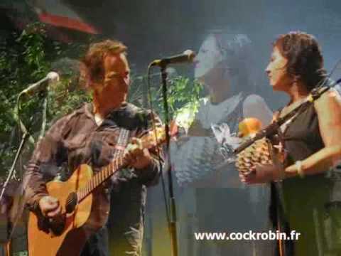 Cock Robin - Stumble and fall (montage Carcassonne 11 juillet 2009) (dd31)