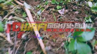 Download lagu DJ RELIGI DAMAI LAH PALESTINA || SLOW BASS. mp3