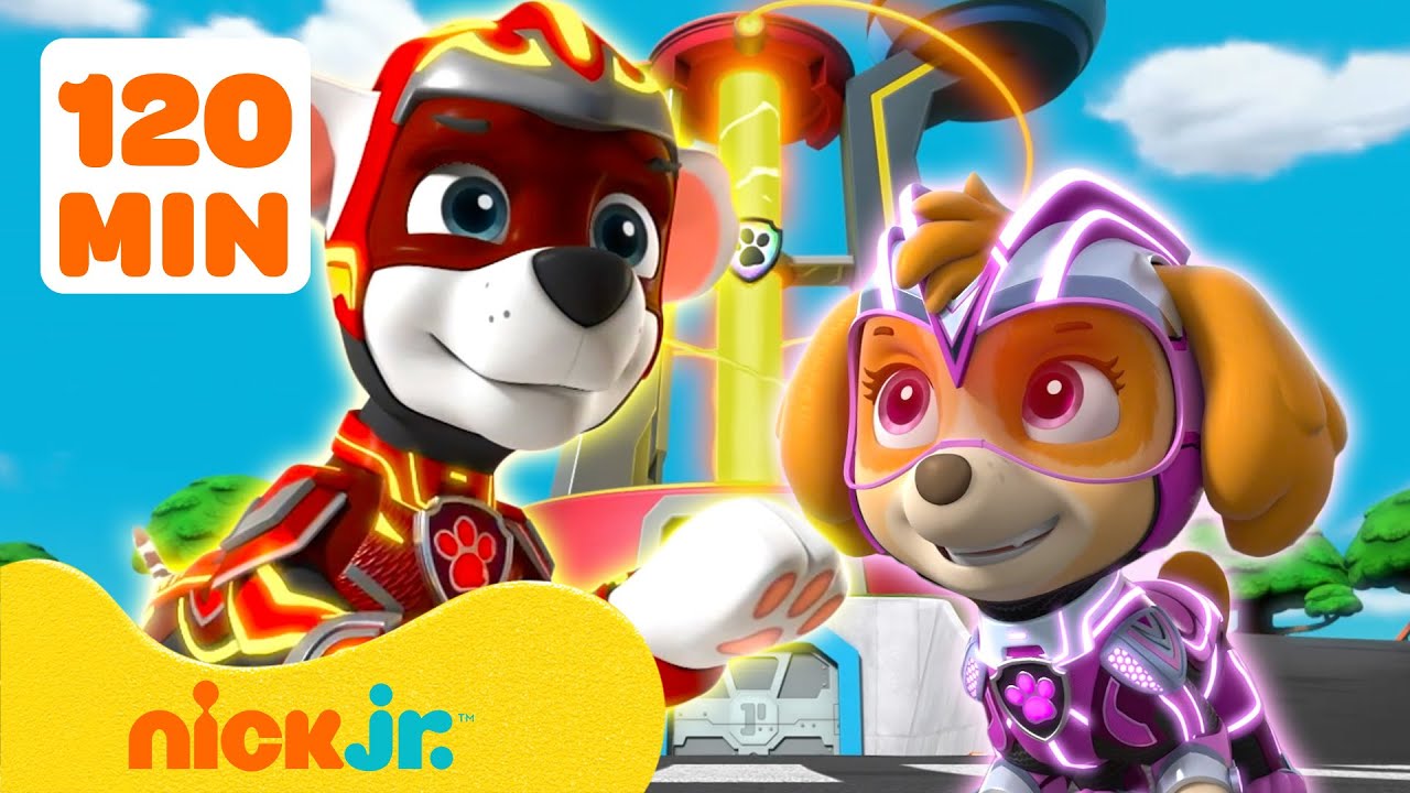 Pups Salvam o Gatinho