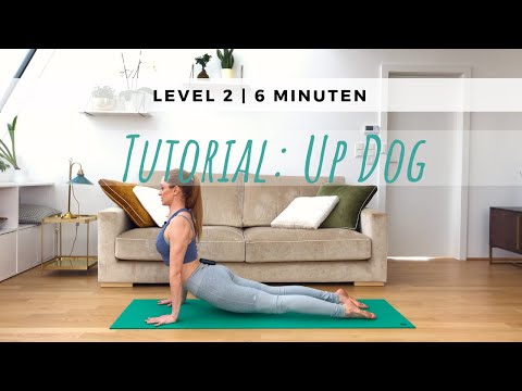 Tutorial: Aufschauender Hund | doktor yoga