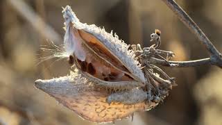 NoBody Knows  , Billy Squire