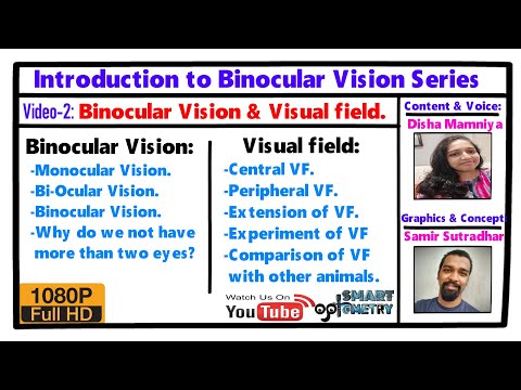 Binocular Vision and Visual Field - Binocular Vision Series(video-2).