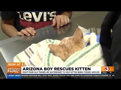 大切なスケートボードと引き換えに、子猫をいじめっ子から救った8歳の少年 | カラパイア