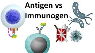 antigen and immunogen