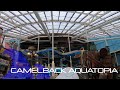 Camelback Aquatopia All Slides 4K POV