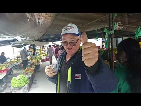 Feira de jardim ceará 