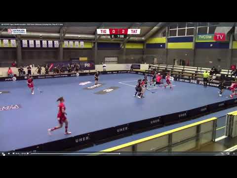 Káťa gól Tigers  Tatran 3 utkání Play off