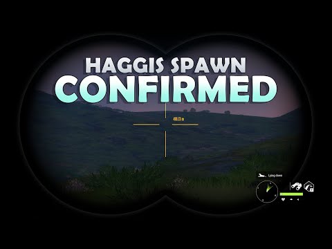 How the Wild Haggis ACTUALLY Spawns in COTW (Confirmed)