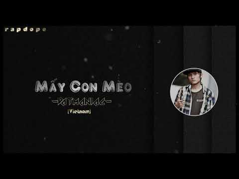 [VIETNAM] Mấy Con Mèo / Cats - Datmaniac