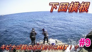 ＃9前半【下田横根】カゴ釣りキビナゴ餌に食ってきた！釣りモン日記