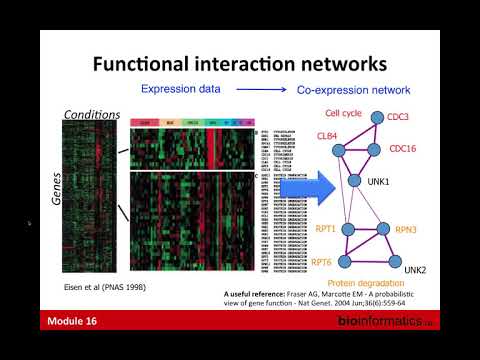 Gene Function Prediction