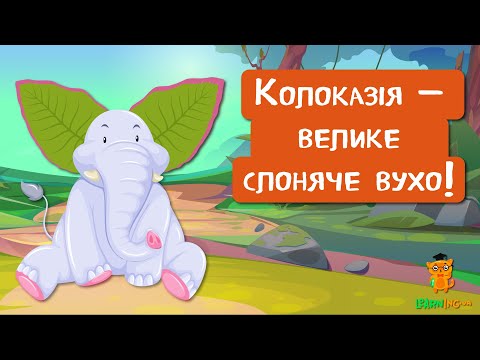 🍀 Дива природи. Явища навколо нас. Колоказія 🌏