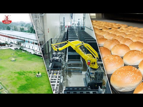 Fully Automated Bun Plant from Germany!  #Dayspring #Untouched