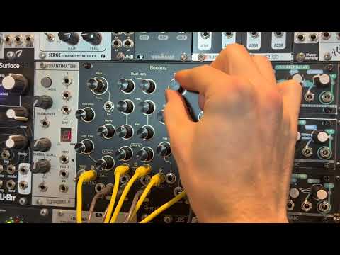 Quanalog Instruments Boubou image 2